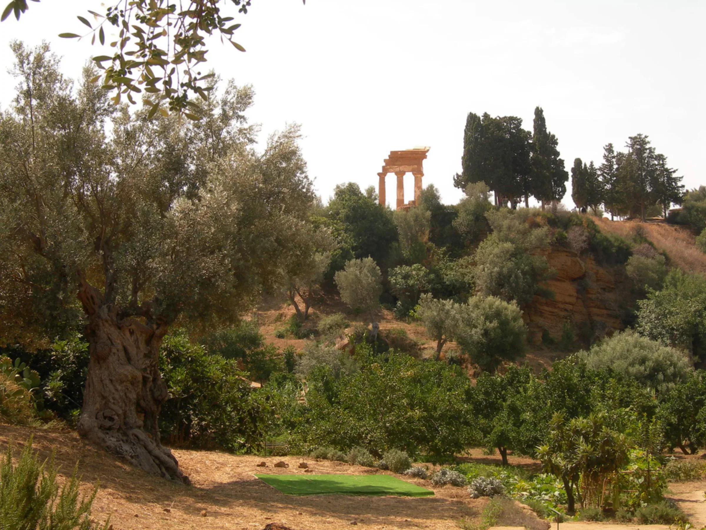 Il paesaggio mediterraneo del Giardino della Kolymbethra